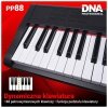 DNA PP 88 pianino cyfrowe pełnowymiarowe keyboard